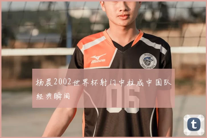 杨晨2002世界杯射门中柱成中国队经典瞬间