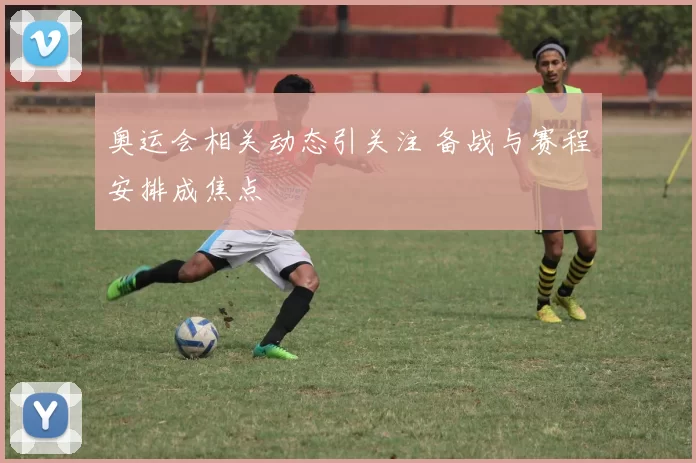 奥运会相关动态引关注 备战与赛程安排成焦点