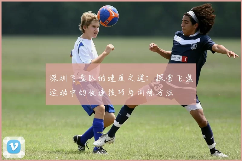 深圳飞盘队的速度之道：探索飞盘运动中的快速技巧与训练方法