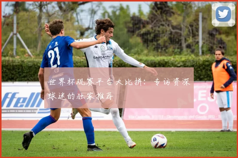 世界杯观赛平台大比拼：专访资深球迷的独家推荐