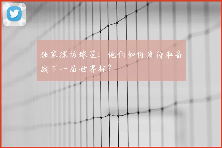 独家探访球星：他们如何看待和备战下一届世界杯？