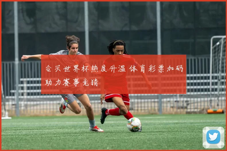 合买世界杯热度升温 体育彩票加码助力赛事竞猜