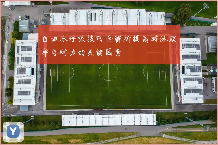 自由泳呼吸技巧全解析提高游泳效率与耐力的关键因素
