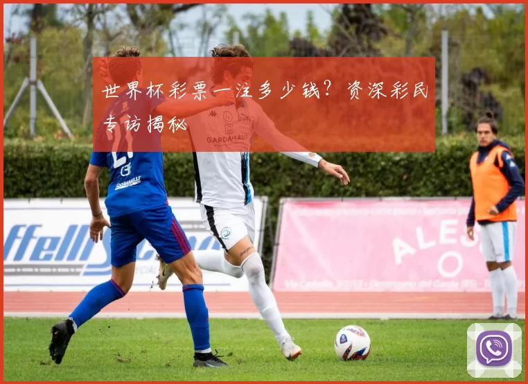 世界杯彩票一注多少钱？资深彩民专访揭秘
