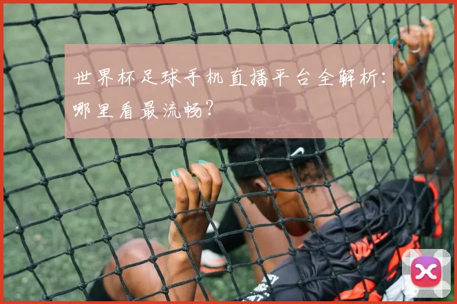 世界杯足球手机直播平台全解析：哪里看最流畅？