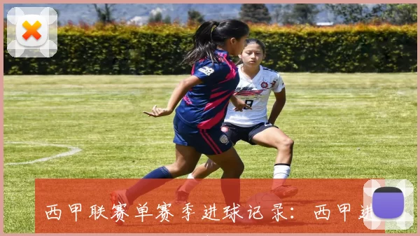 西甲联赛单赛季进球记录:西甲进球王与历史最佳射手
