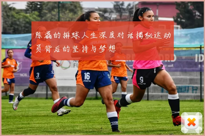 陈磊的排球人生深度对话揭秘运动员背后的坚持与梦想