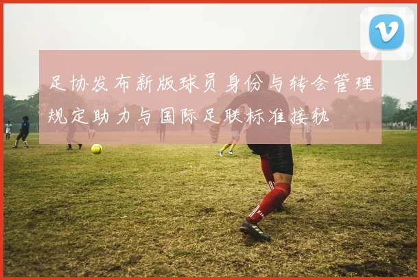 足协发布新版球员身份与转会管理规定助力与国际足联标准接轨