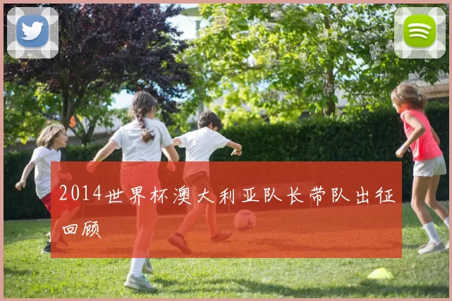 2014世界杯澳大利亚队长带队出征回顾