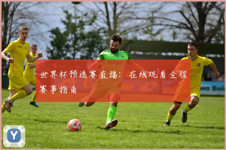 世界杯预选赛直播:在线观看全程赛事指南