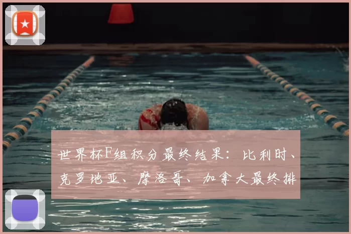 世界杯F组积分最终结果:比利时、克罗地亚、摩洛哥、加拿大最终排名