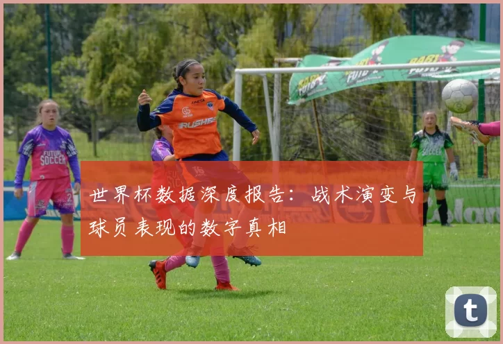 世界杯数据深度报告：战术演变与球员表现的数字真相