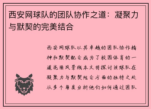 西安网球队的团队协作之道：凝聚力与默契的完美结合