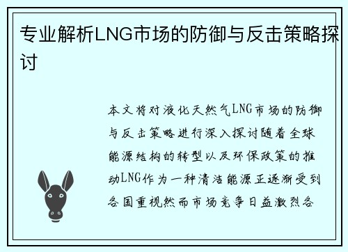 专业解析LNG市场的防御与反击策略探讨