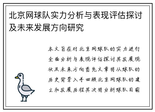 北京网球队实力分析与表现评估探讨及未来发展方向研究
